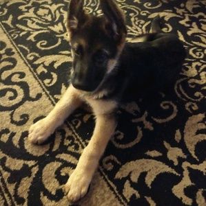 Meet your Posher, Brandy